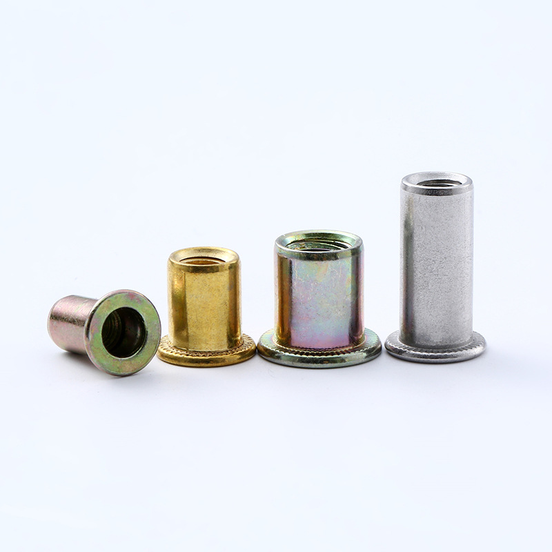 Cabeza avellana aerodinámica nueces remachadas