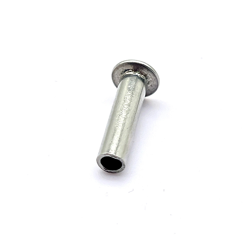 INSERTO DE CABEZA plana Riesta semi hueca